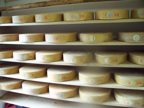 Cheese_Wheels_from_Bernese_Oberland,_Switzerland